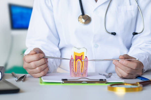 Best Tooth Pain Emergency Relief  in Perryville, MD